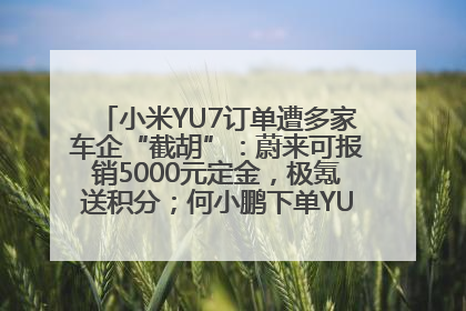 小米YU7订单遭多家车企“截胡”：蔚来可报销5000元定金，极氪送积分；何小鹏下单YU7，喊话雷军早点交付