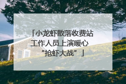 小龙虾散落收费站 工作人员上演暖心“抢虾大战”