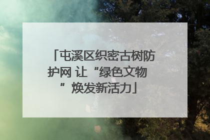 屯溪区织密古树防护网 让“绿色文物”焕发新活力