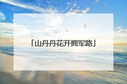山丹丹花开拥军路