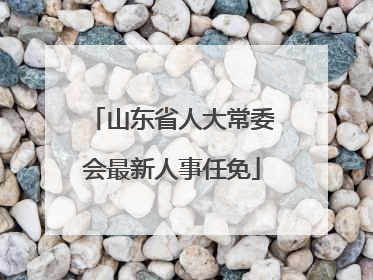 山东省人大常委会最新人事任免
