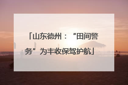 山东德州：“田间警务”为丰收保驾护航