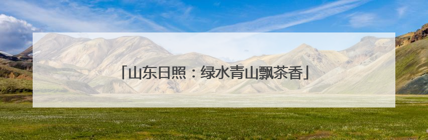 山东日照：绿水青山飘茶香