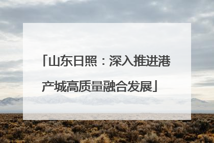 山东日照：深入推进港产城高质量融合发展