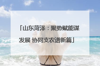 山东菏泽：聚势赋能谋发展 协同支农谱新篇