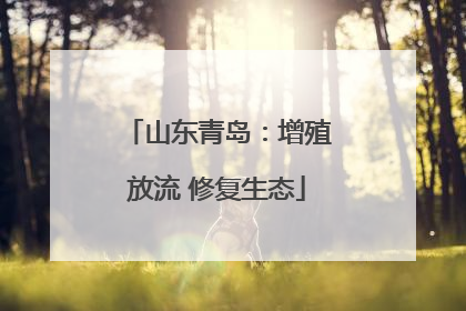 山东青岛：增殖放流 修复生态