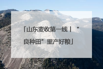 山东麦收第一线丨“良种田”里产好粮