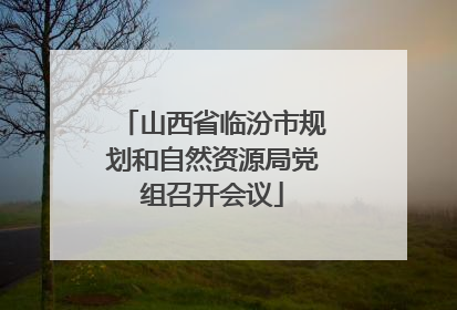 山西省临汾市规划和自然资源局党组召开会议