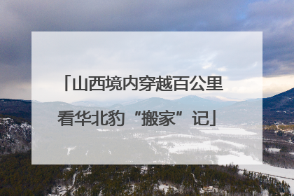 山西境内穿越百公里 看华北豹“搬家”记