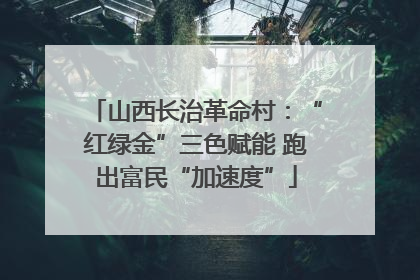 山西长治革命村：“红绿金”三色赋能 跑出富民“加速度”