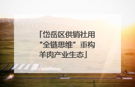 岱岳区供销社用“全链思维”重构羊肉产业生态