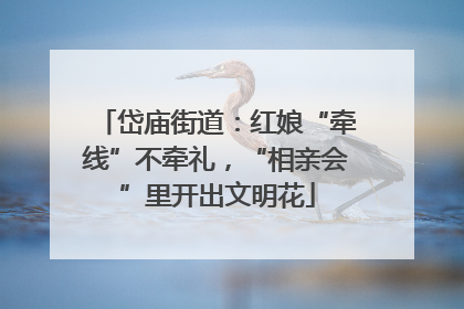 岱庙街道：红娘“牵线”不牵礼，“相亲会”里开出文明花