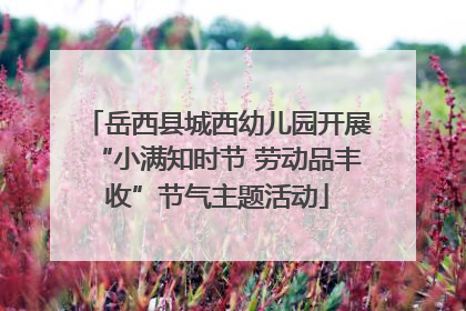 岳西县城西幼儿园开展“小满知时节 劳动品丰收”节气主题活动