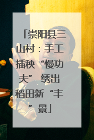 崇阳县三山村：手工插秧“慢功夫” 绣出稻田新“丰”景