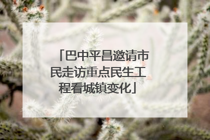 巴中平昌邀请市民走访重点民生工程看城镇变化