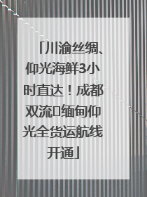 川渝丝绸、仰光海鲜3小时直达！成都双流⇌缅甸仰光全货运航线开通