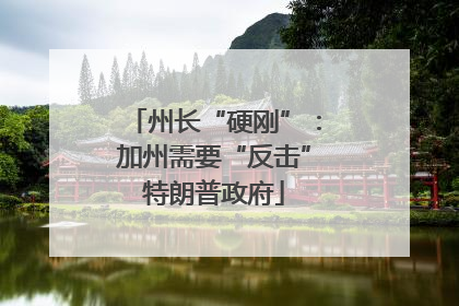 州长“硬刚”：加州需要“反击”特朗普政府