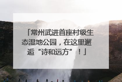 常州武进首座村级生态湿地公园，在这里邂逅“诗和远方”！