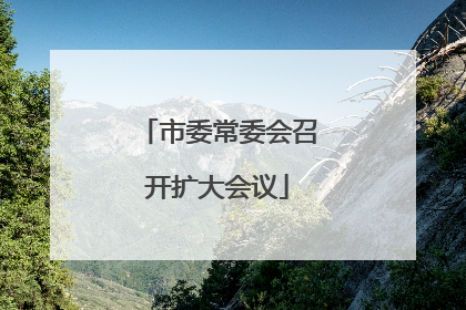 市委常委会召开扩大会议