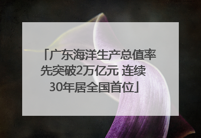 广东海洋生产总值率先突破2万亿元 连续30年居全国首位
