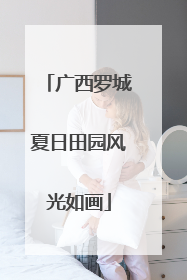 广西罗城夏日田园风光如画
