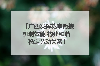 广西发挥裁审衔接机制效能 构建和谐稳定劳动关系