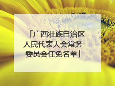 广西壮族自治区人民代表大会常务委员会任免名单