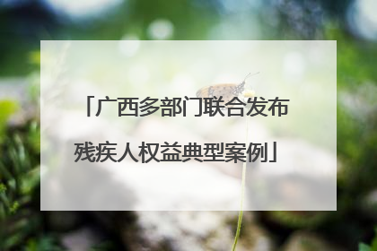 广西多部门联合发布残疾人权益典型案例