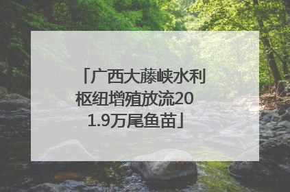 广西大藤峡水利枢纽增殖放流201.9万尾鱼苗