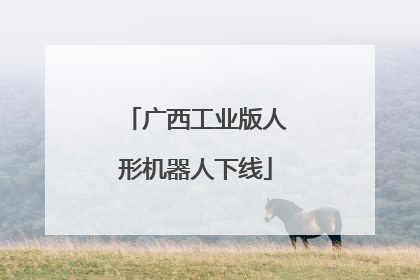 广西工业版人形机器人下线