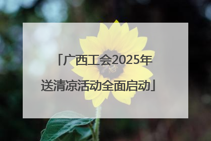 广西工会2025年送清凉活动全面启动