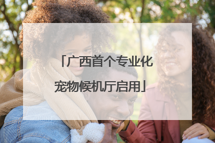 广西首个专业化宠物候机厅启用