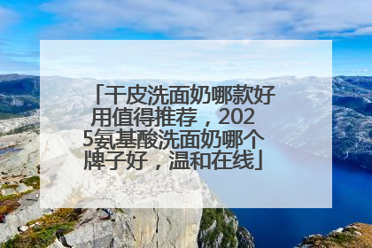 干皮洗面奶哪款好用值得推荐，2025氨基酸洗面奶哪个牌子好，温和在线