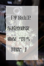 平顶山卫东检察建议确保“罚当其错”