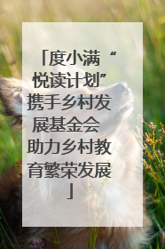 度小满“悦读计划”携手乡村发展基金会 助力乡村教育繁荣发展