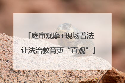 庭审观摩+现场普法 让法治教育更“直观”