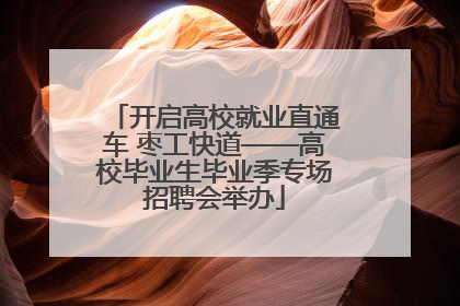 开启高校就业直通车 枣工快道——高校毕业生毕业季专场招聘会举办