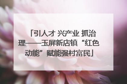 引人才 兴产业 抓治理——玉屏新店镇“红色动能”赋能强村富民
