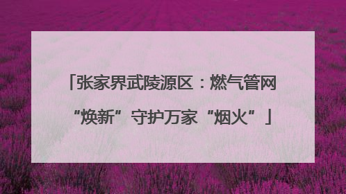 张家界武陵源区：燃气管网“焕新”守护万家“烟火”