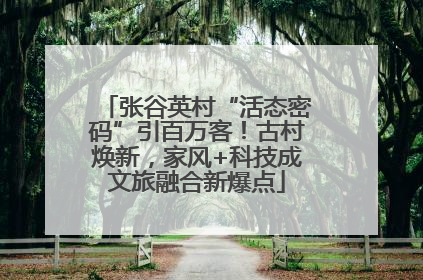 张谷英村“活态密码”引百万客！古村焕新，家风+科技成文旅融合新爆点