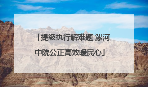 提级执行解难题 漯河中院公正高效暖民心