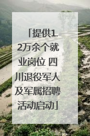 提供1.2万余个就业岗位 四川退役军人及军属招聘活动启动