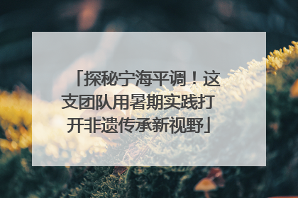 探秘宁海平调！这支团队用暑期实践打开非遗传承新视野