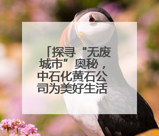 探寻“无废城市”奥秘，中石化黄石公司为美好生活“加油”