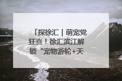 探徐汇｜萌宠党狂喜！徐汇滨江解锁“宠物游轮+天台乐园”双玩法