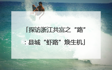 探访浙江共富之“路”：县城“虾路”焕生机