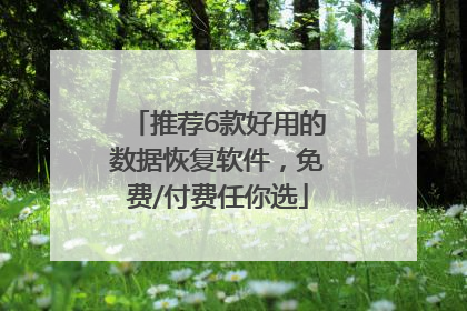 推荐6款好用的数据恢复软件，免费/付费任你选