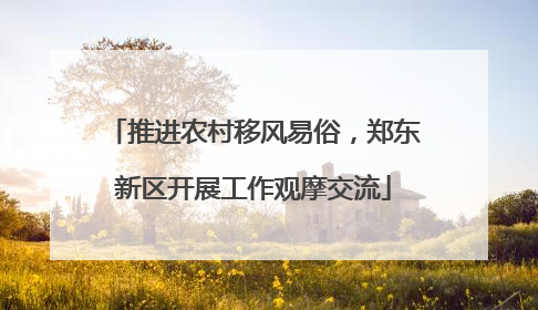 推进农村移风易俗，郑东新区开展工作观摩交流