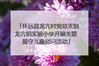 怀远县龙亢村党总支到龙亢镇实验小学开展关爱留守儿童慰问活动