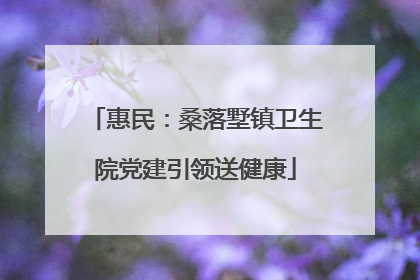 惠民：桑落墅镇卫生院党建引领送健康